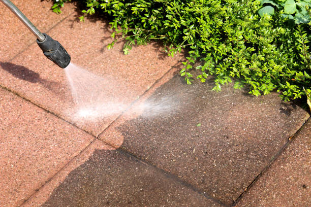 Best Best Pressure Washing Companies  in Pleasant Grove, OH